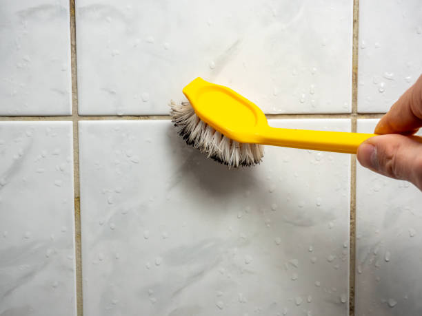 Best Mold Removal Near Me  in Mccom, MS