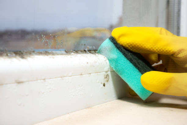 Best Crawl Space Mold Removal  in Mccom, MS