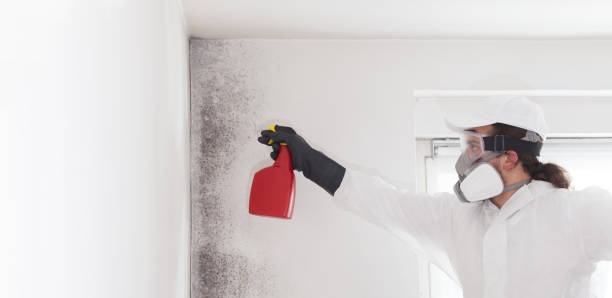 Best Commercial Mold Removal  in Mccom, MS